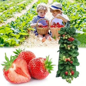 Bolsa Colgante Multifuncional para Cultivo