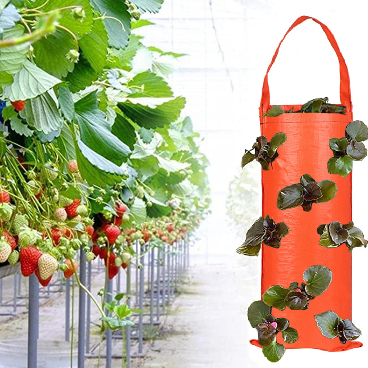 Multifunctional Hanging Grow Bag