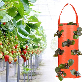 Bolsa Colgante Multifuncional para Cultivo